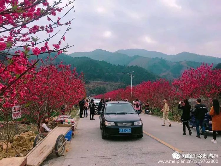 乐昌九峰山踏青赏桃花3月漫山花海等你来看