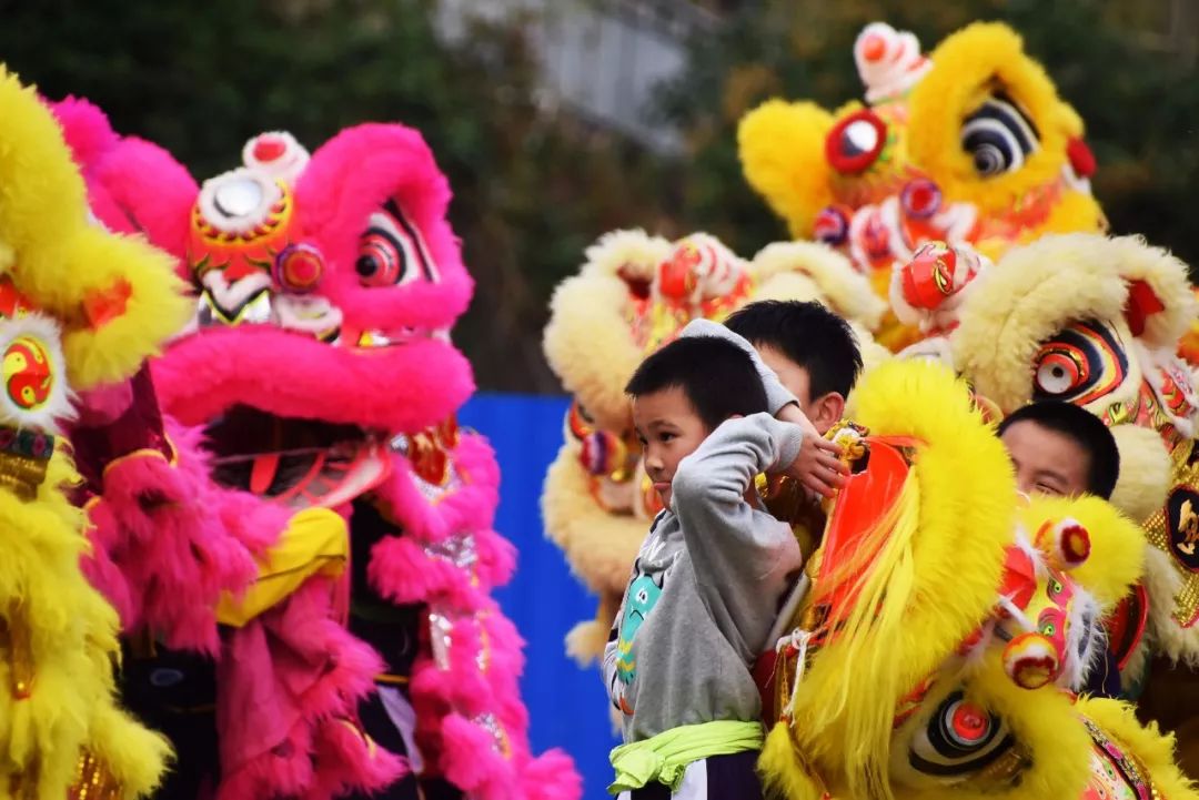 斗门周六有艺术大巡游!舞龙,醒狮,舞蹈,样样有得看!约吗?