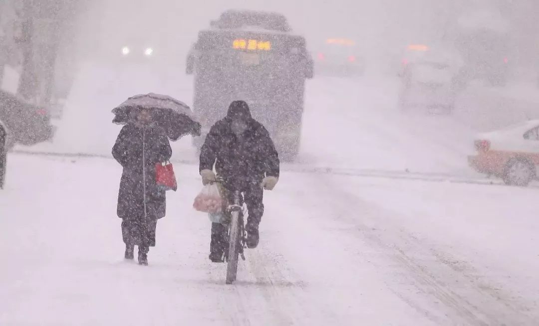 重大气象预警!哈尔滨大雪来袭,我省局地有暴雪!