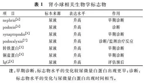 专家论坛糖尿病肾病诊断及预后生物学标志物的研究现状及展望