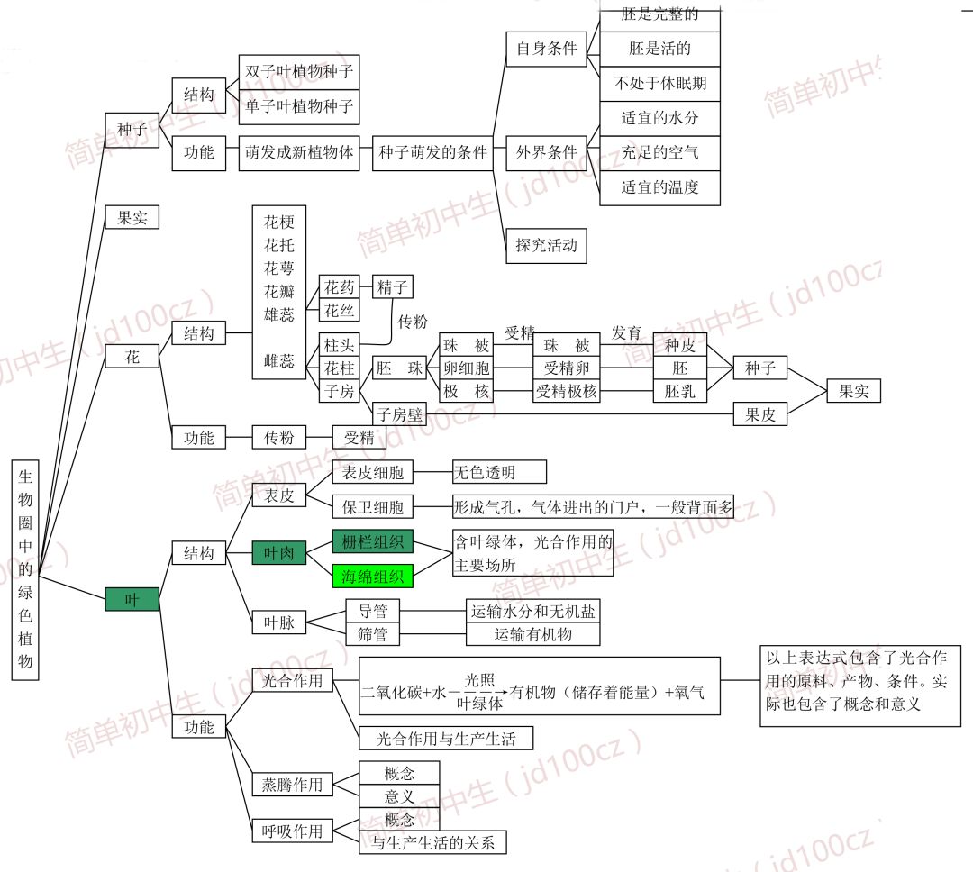 初中生物重要概念思维导图,照这个复习准没错!值得收藏