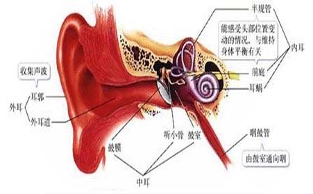 鼓膜炎怎么治