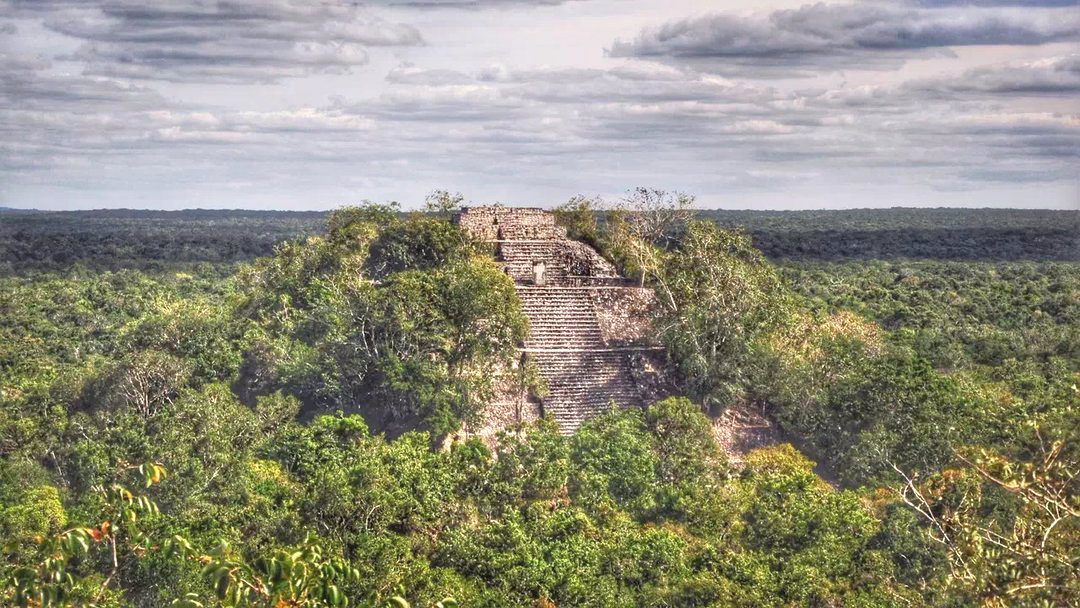 卡拉克穆尔遗址calakmul