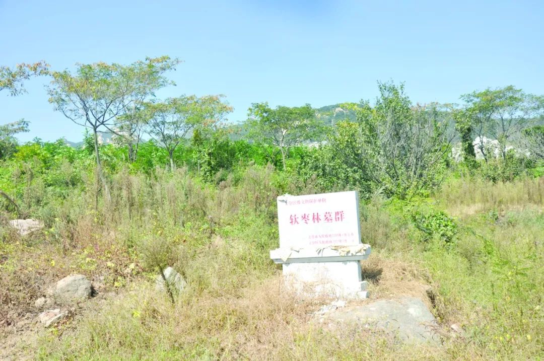 宫氏,六百年祖茔今仍在