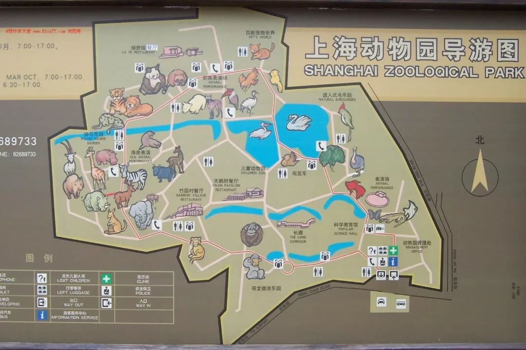 上海动物园你需知道的事!