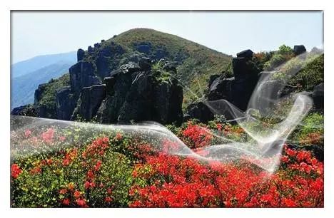 苍南县矾山镇笔架山景区