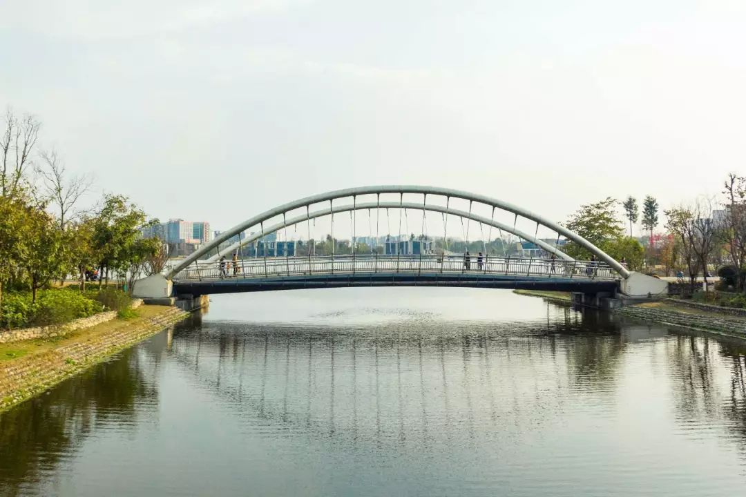 亚洲最大城市湿地,藏着成都最美花海!