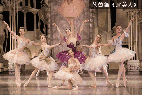 古典芭蕾舞剧《睡美人》 演出单位: 俄罗斯国家古典模范芭蕾舞团