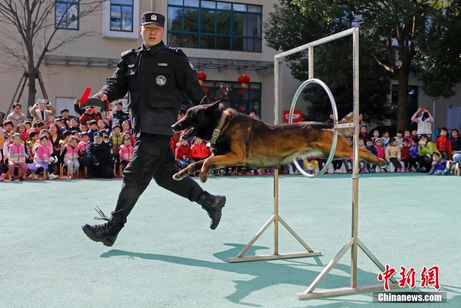 【soda思达防卫】上海浦东特警,警犬进校园 提升学生安全教育