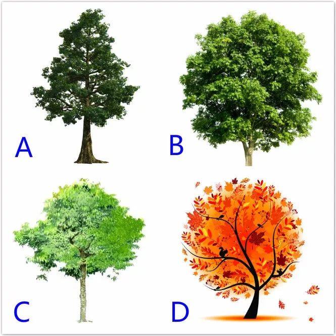 心理测试:选一棵最喜欢的树,测出你是不是个乐于付出的人!