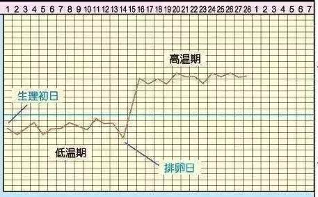 用醋测怀孕的方法如下