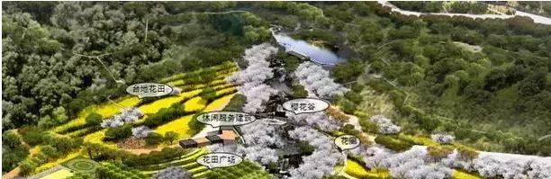 重磅,号称第二个红叶谷的唐冶围子山郊野公园18年要开工,莲花山郊野