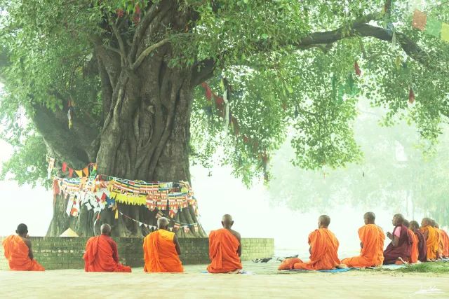 2500年前的一个梦让这里成了享誉全球的圣地