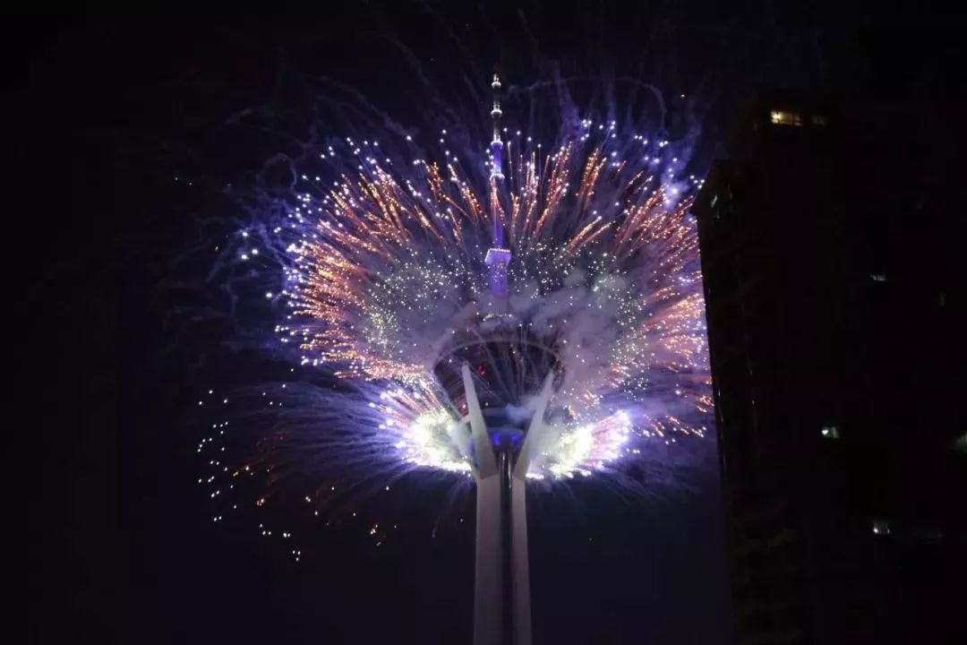 奔烈似火,婉约如花时而柔美,时而狂野组合变幻出不同造型的烟花树型