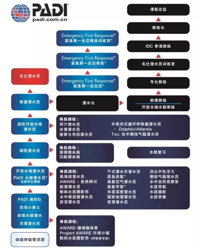 不认识别人的 padi 电子潜水证?抓紧补课吧!