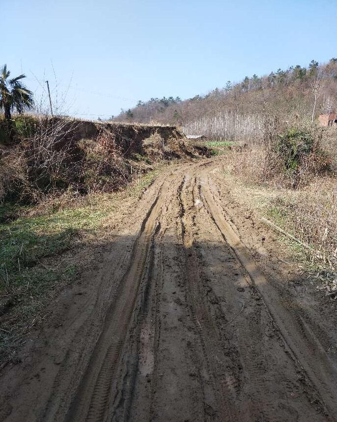 2.电是单项的,路是泥泞的,生活是困难的 3.解放前的农村都是这样的.