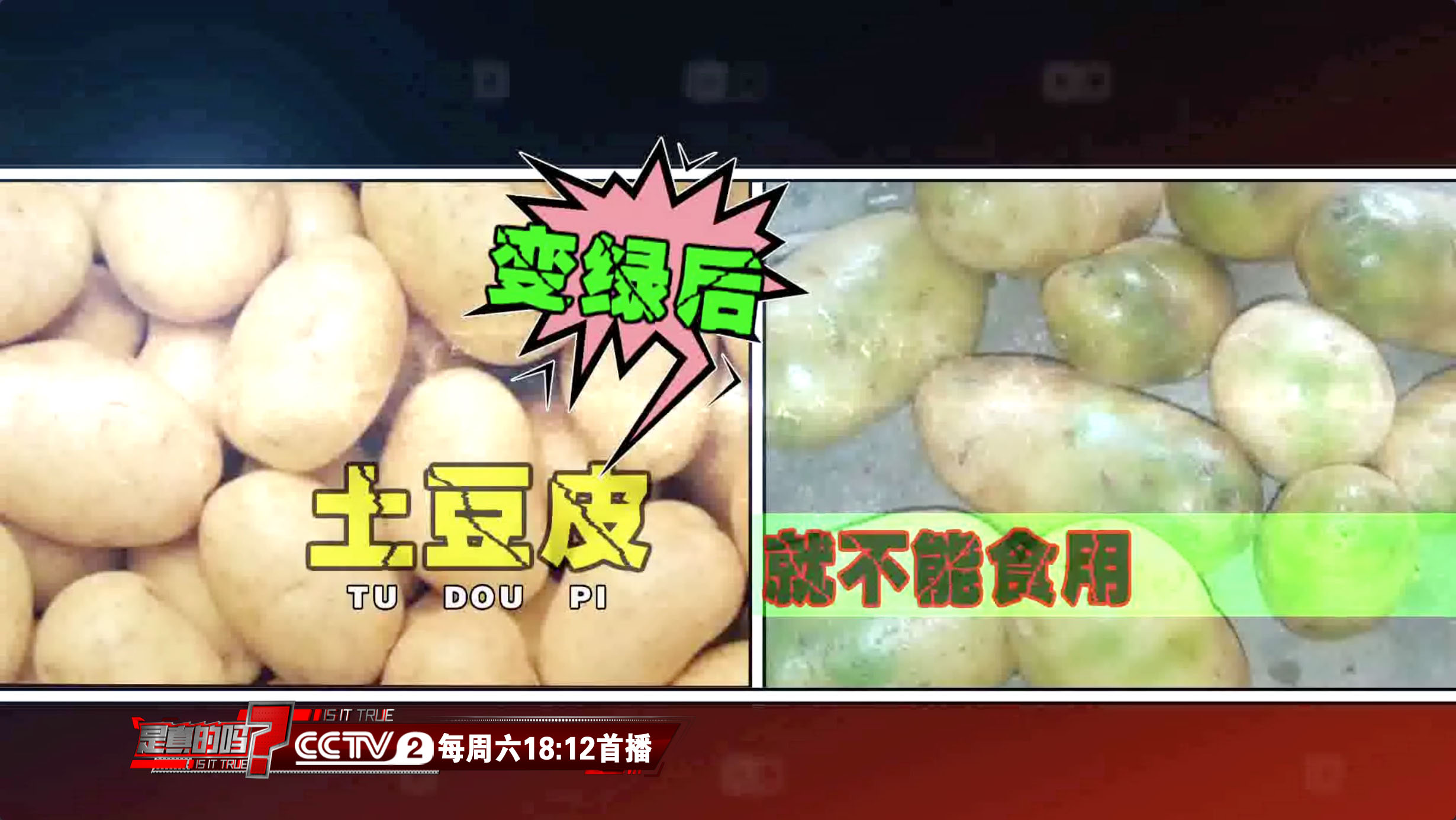 青土豆可以吃吗，最全科普土豆表皮变绿原因及安全食用方法_赤子创业