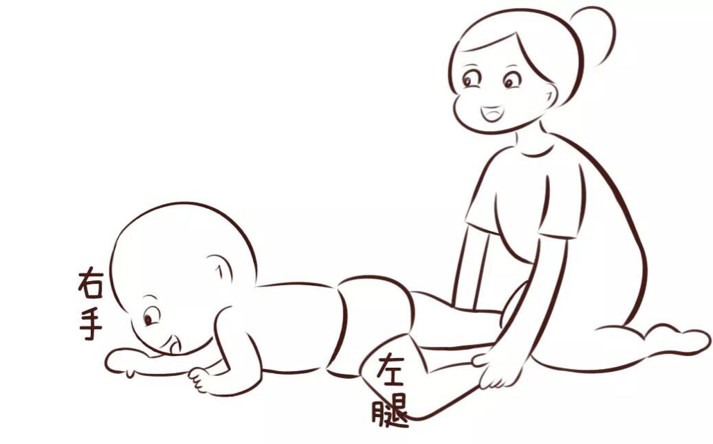 【宝宝早教】爬行刺激大脑发育,一定要给宝宝练习!