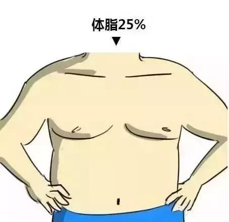 男女体型对比图 看看你在哪个范围?