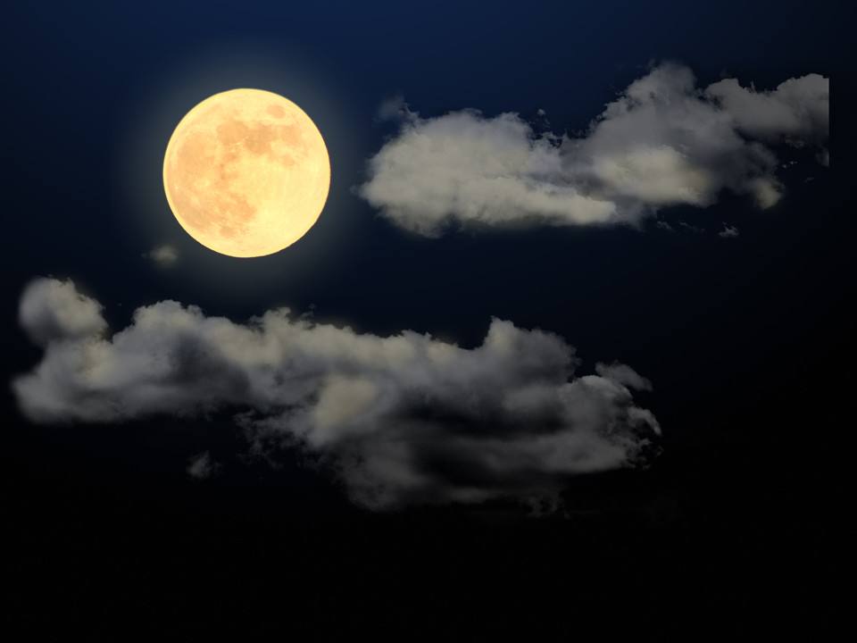 文/徐金豹 圆月依然挂在碧空 明亮的月光 流淌到相思的窗外 推开巢的