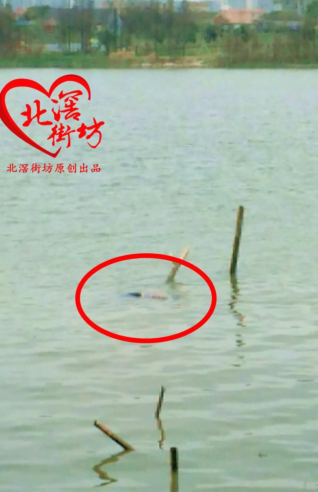 佛山某河堤对开发现一具无名女尸,已被打捞上岸!