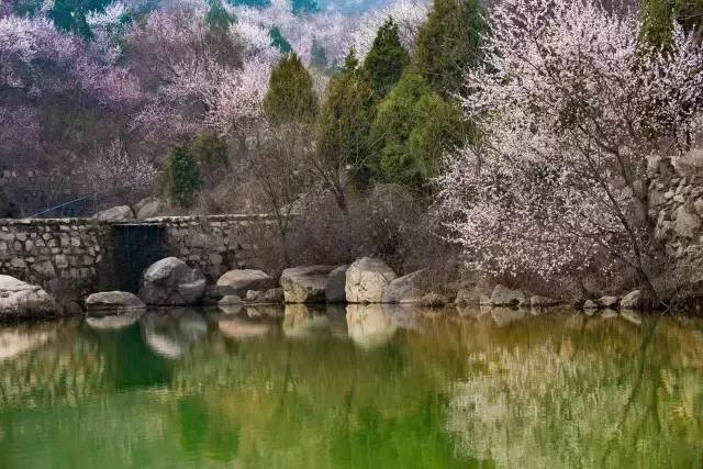 白虎涧自然风景区.