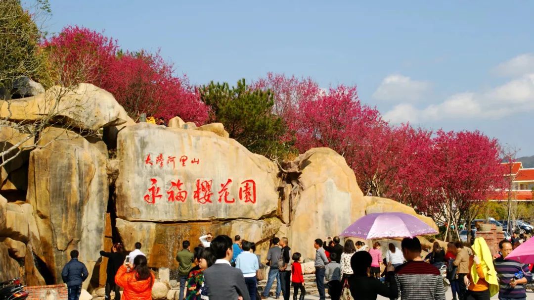 龙岩 永福樱花园