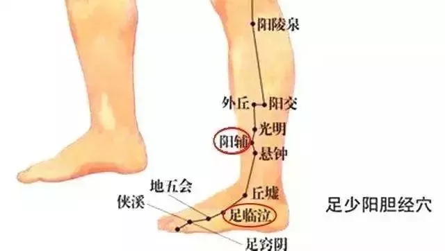 脐带边缘人口_胎盘脐带边缘入口图片(3)