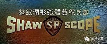 他将邵氏兄弟英文名称的首字母缩写"sb"用在了电影《杀死比尔》中,做