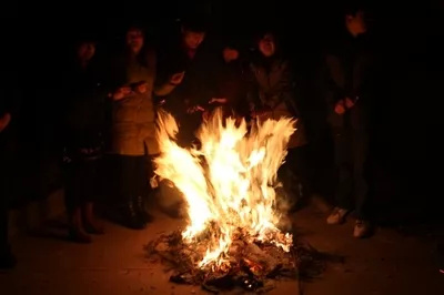 在河北大部分地区,人们称柏树为柏灵树"柏灵"预"百灵"百龄"之意