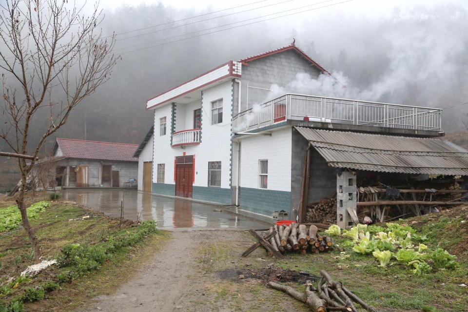 深圳市坪山区珠洋坑村住的有多少人口(3)