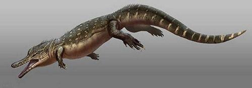 鳄龙:2000万年前长相似鳄鱼的恐龙,可能是恐龙和鳄鱼