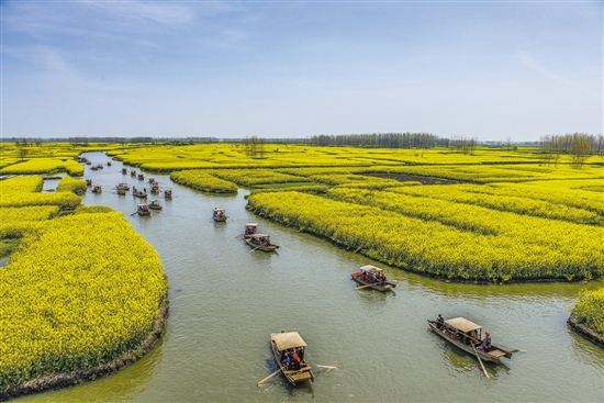 千垛菜花风景区 图/视觉中国