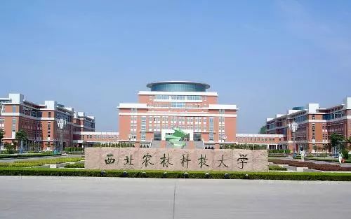 位于杨凌的西北农林科技大学 图/网易