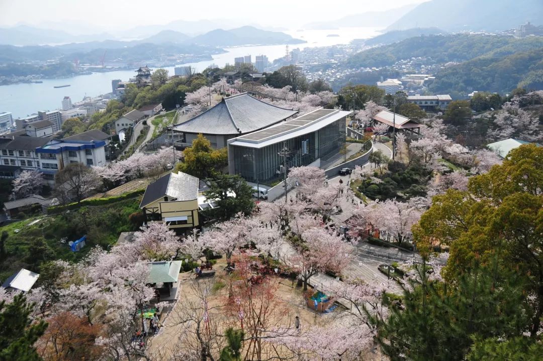 最新!2018年第四回樱花开花预测,全日本最美的樱花一网打尽!