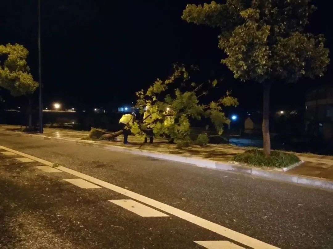 昨儿白天高温 夜晚雷雨大风惊到你了吗?原来今天是惊蛰啊!