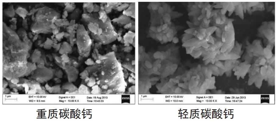 ▼图1 重钙与轻钙扫描电镜放大10000倍照片