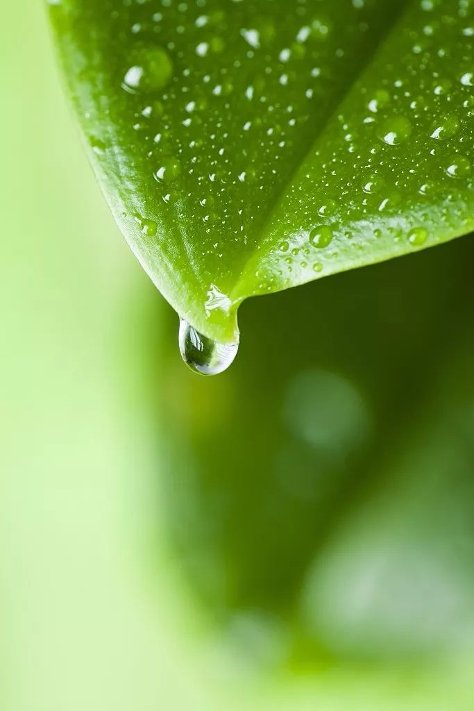 纯音乐 |《雨滴》让人能够进入沉思,抛去世俗烦恼