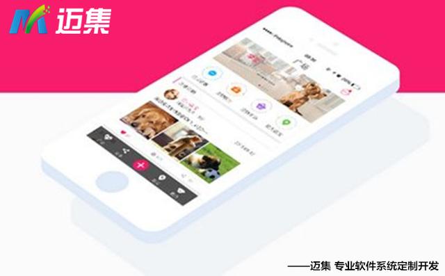 M6米乐APP下载马云的复制版宠物商城APP或成未来最大黑马(图4)