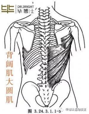 揉开肌肉结节,目的使其肌肉主动发力疼痛减轻