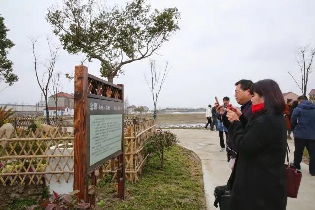 实地调研: 当天,与会人员还参观了新寺居委"和美楼组",南胜村"和美