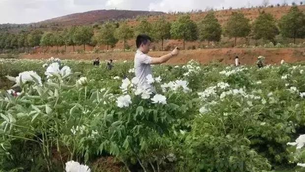 邵阳市五峰铺人口_邵阳市龙溪铺李维珍