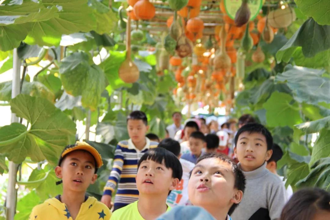 科技农业馆 成为无数孩子的自然科普乐园 是晨农生态园的一大文化特色