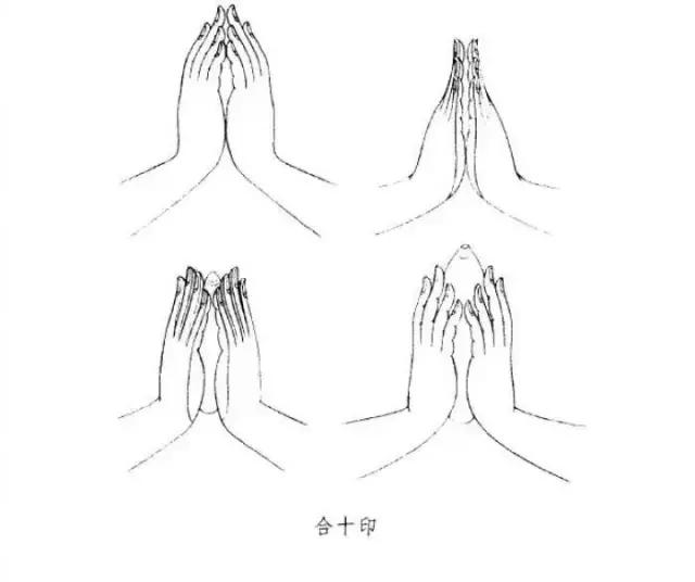 双手手面向上置于腹前,右手放在左手上,两手的拇指指端相接.