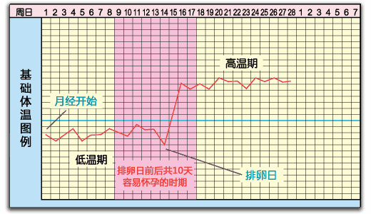 日中 妊娠初期 体温 基礎体温の高温期が高い