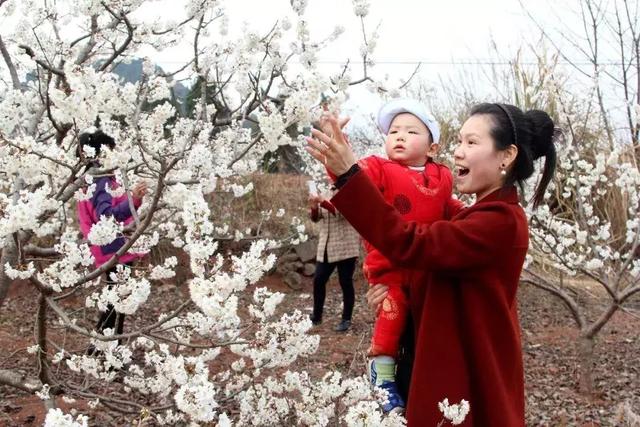 仁寿婚纱照_婚纱照风格(3)