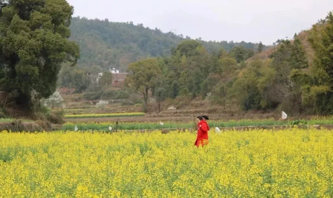 赣县梅林村有多少人口_赣县白鹭古村图片(3)