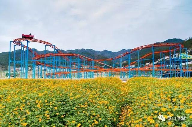 新一年的伊始 到山野,花海,丛林间去寻回童心 童玩谷生态园中 探秘