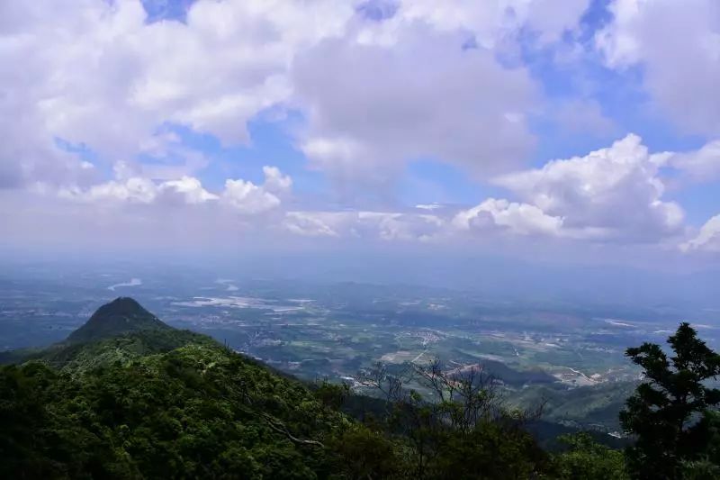 【3月11日周日】杜鹃花开,登惠东九龙峰踏青赏花