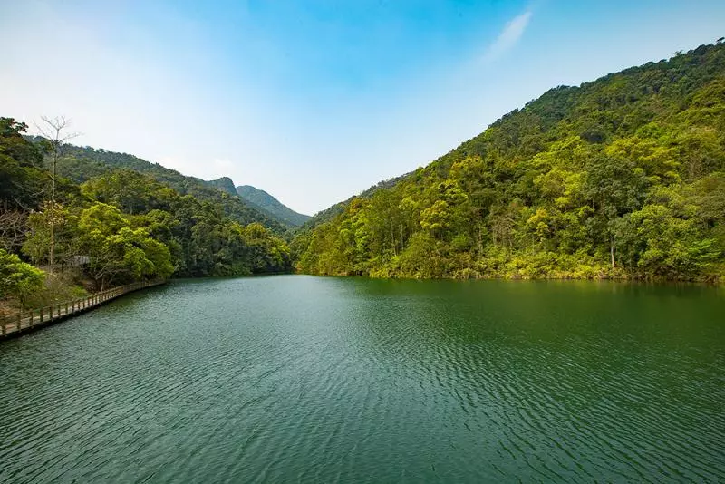 梯面镇第十届油菜花旅游文化节预告!